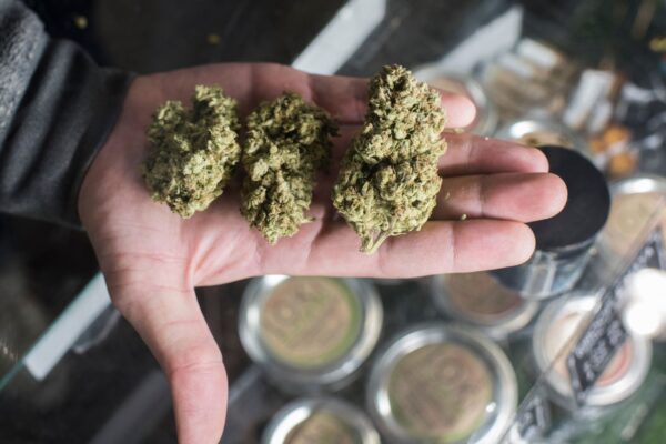 Discover what is legal with cannabis now cannabis news