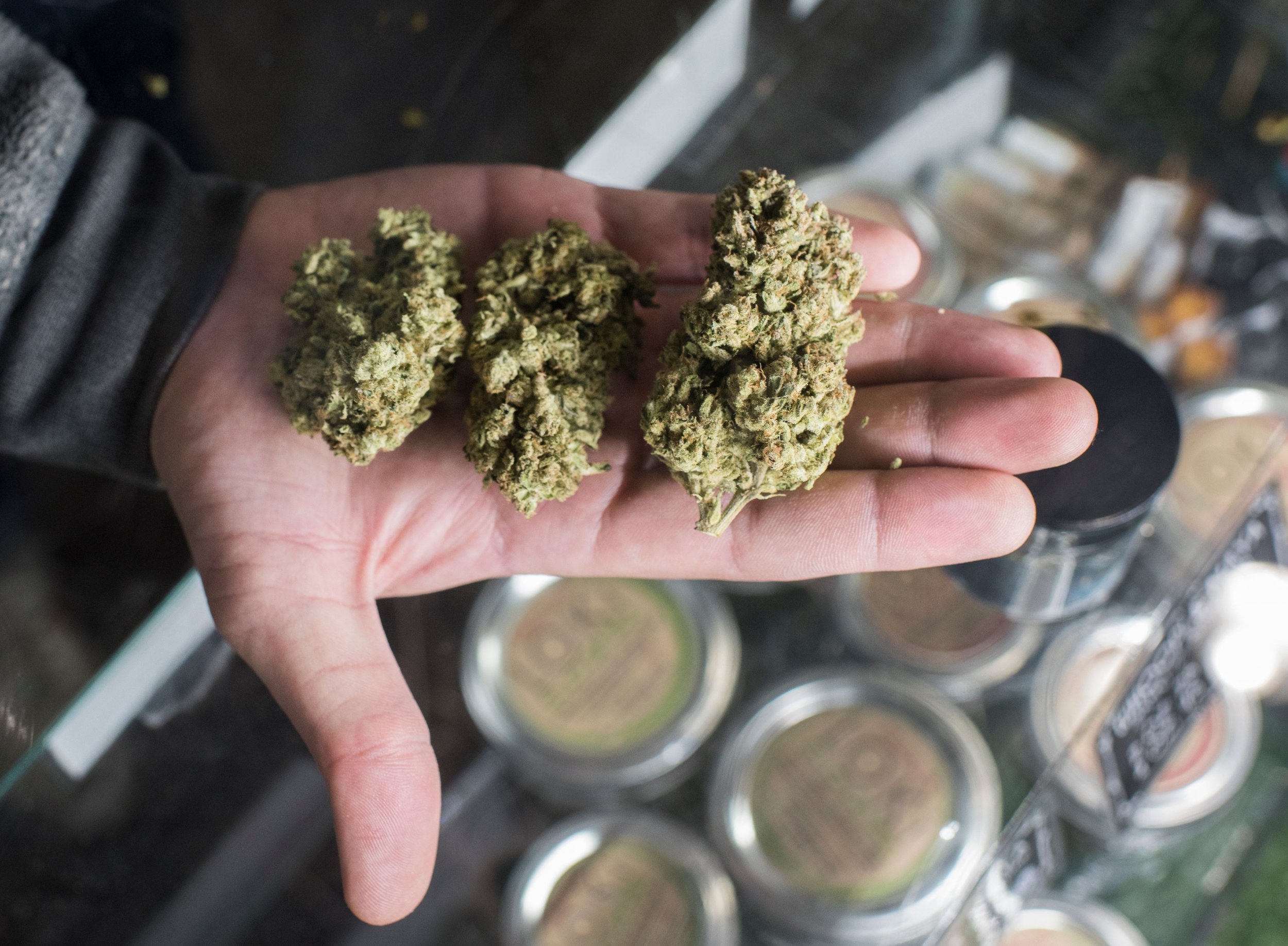 cannabis news