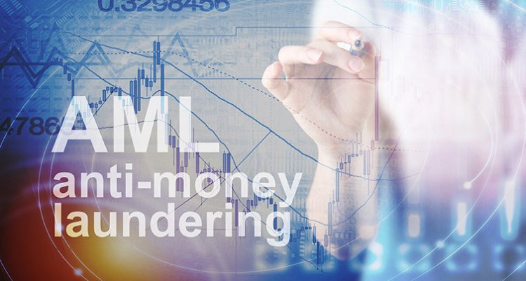 AML Consulting Services
