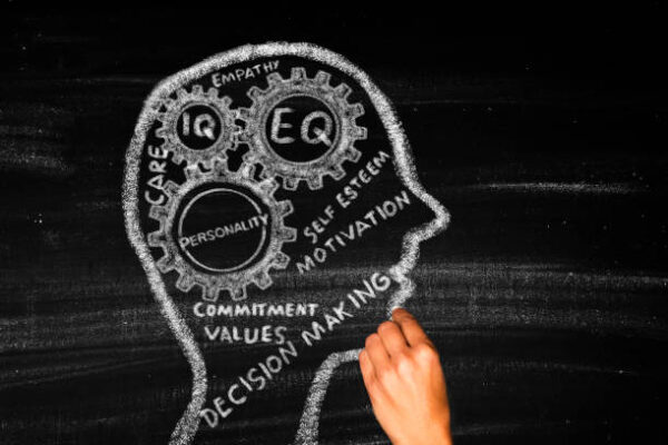 Developing Emotional Intelligence Through CIPD Learning