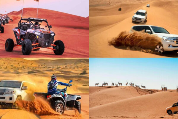 Desert Tour in Dubai