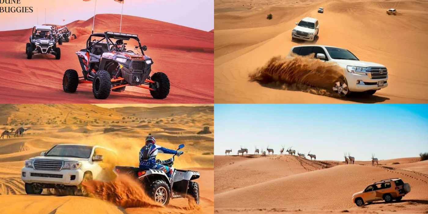 Desert Tour in Dubai