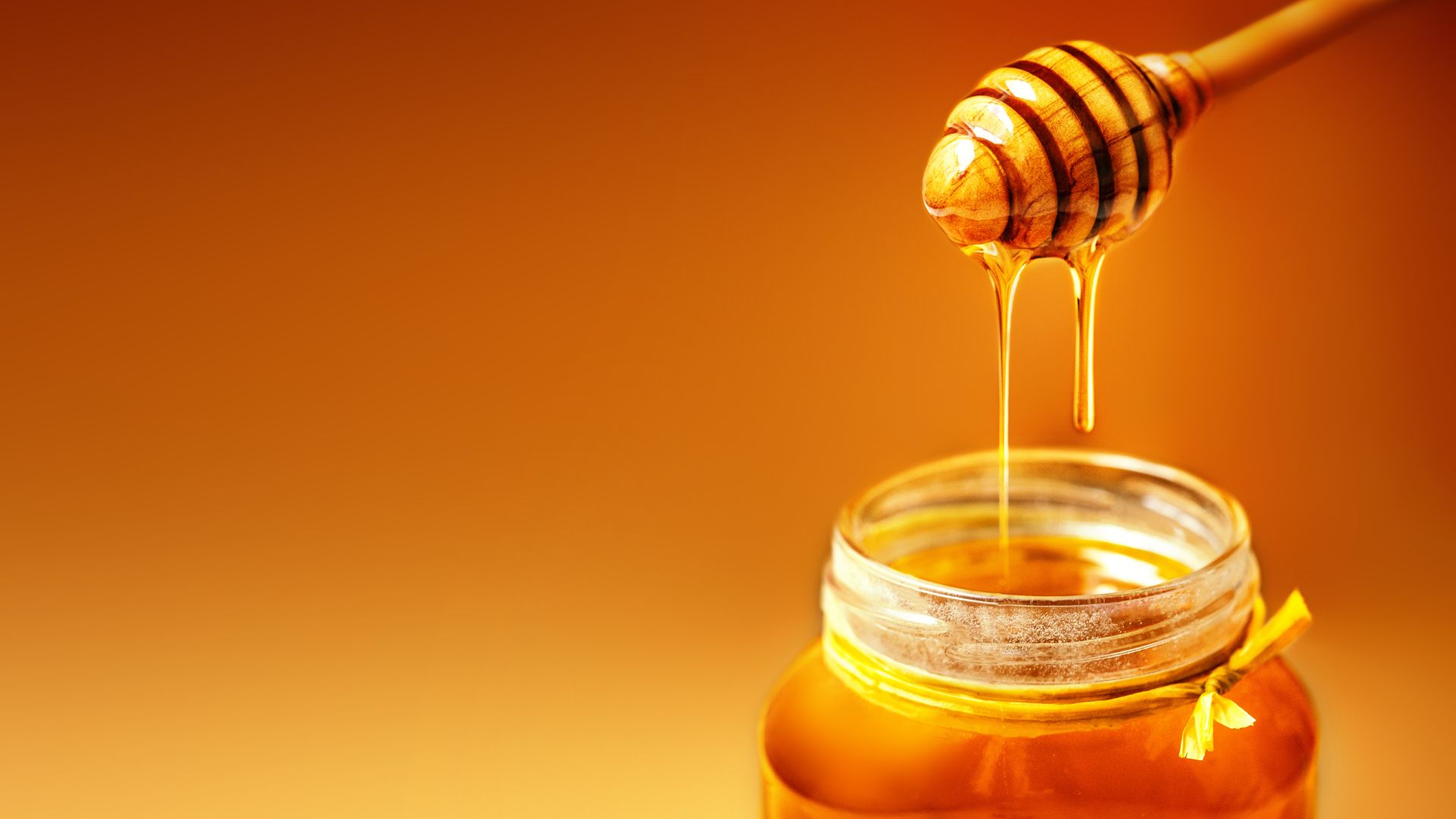 HoneyTime