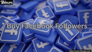 Best Places to Buy Facebook Followers