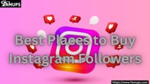 Best Places to Buy Instagram Followers