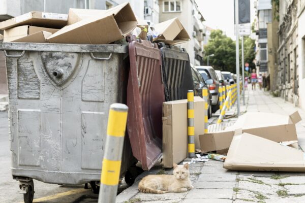 Revolutionizing Pet Waste Management with GoGo Stik Revolutionizing Pet Waste Management with GoGo Stik