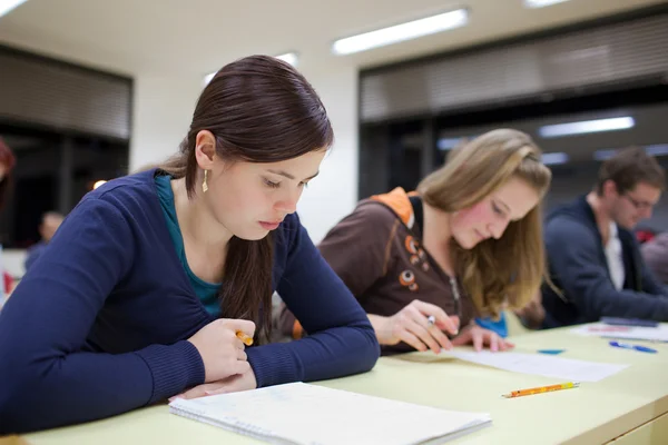 athe assignment help uk