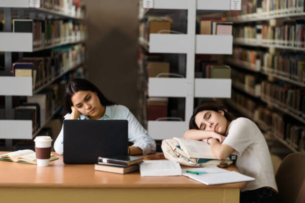 essay writing service