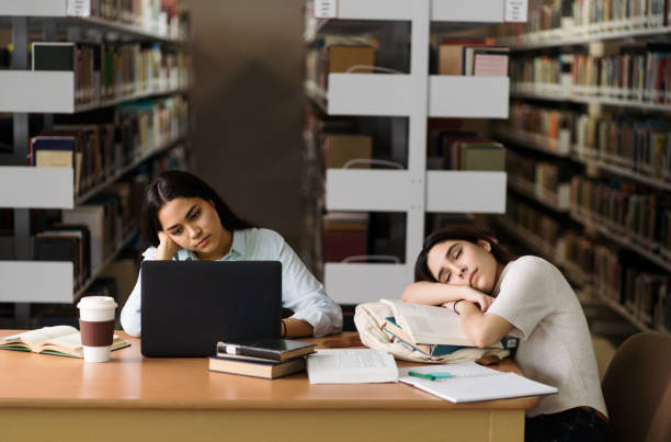 essay writing service
