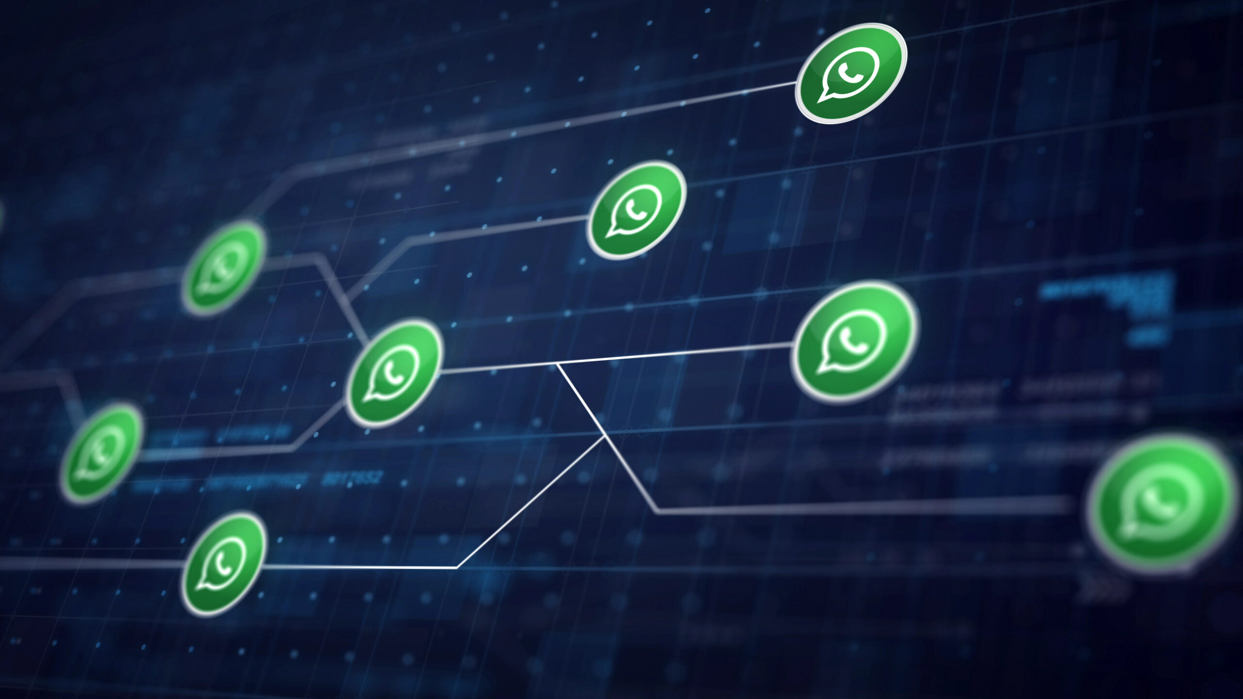 whatsapp clone app